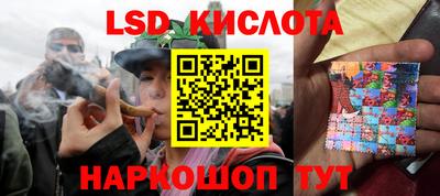 шишки Заводоуковск