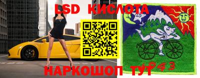ГАЛЛЮЦИНОГЕННЫЕ ГРИБЫ Рыбинск