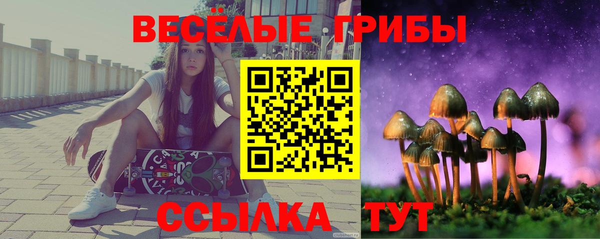 Псилоцибиновые грибы MAGIC MUSHROOMS Россия