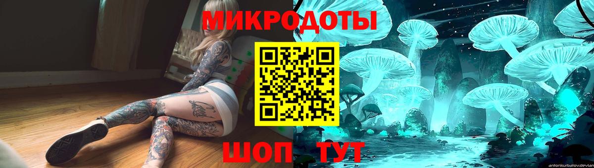 Россия  Псилоцибиновые грибы Magic Shrooms  Вход с VPN 